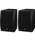 Pair of professional PA speaker systems, 2 x 100 W/8 Ω